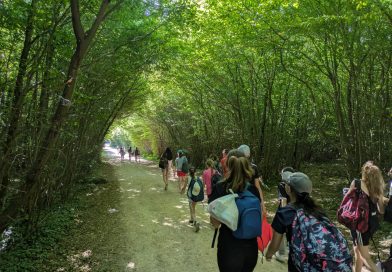 Une journée au parc Acrogivry